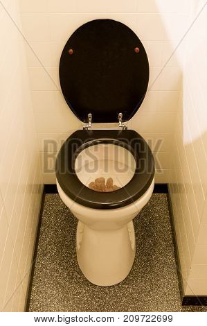 Dirty Toilet, In Need Of A Toilet Brush