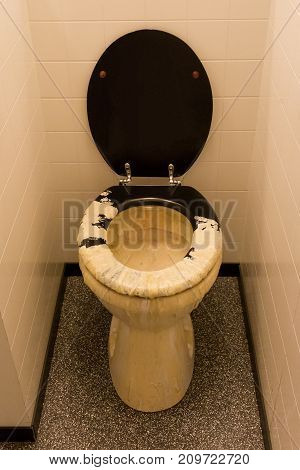 Dirty Toilet, In Need Of A Toilet Brush