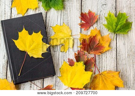 Book And Colorful Maple Leaves On White Wooden Background