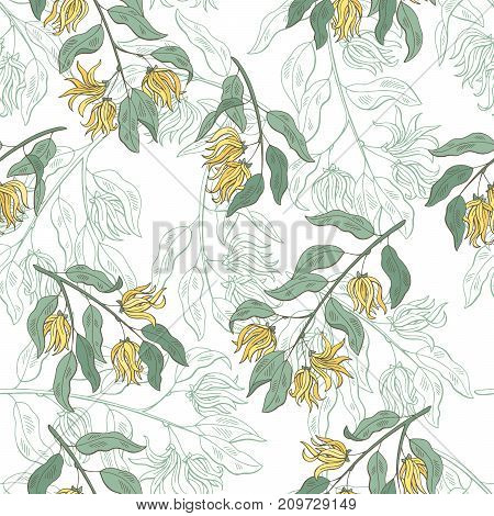 Cananga ylang-ylang graphic color seamless pattern sketch illustration vector