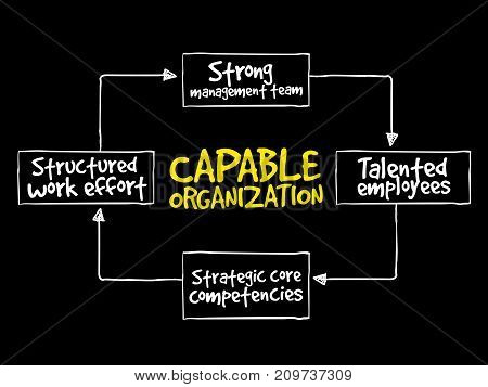 Capable Organization, Strategy