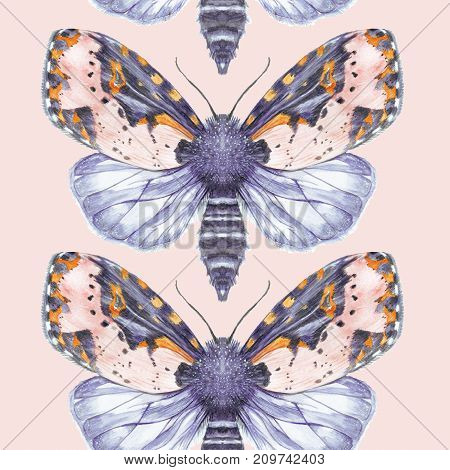 Painted drawing watercolor shaggy butterfly teddy bear seamless background, bright coloring, thick torso, night butterfly on a pink background with splashes in serene tones, for decor, prints