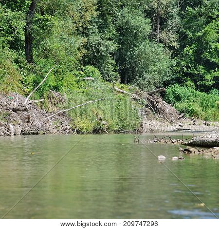 Landscape with small river at summer season.