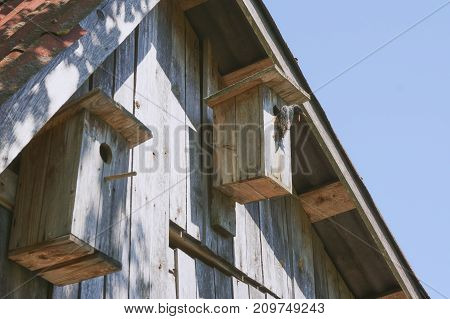Wooden Birdhouse With Its Inhabitant Starling