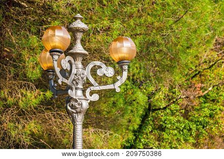 The beautiful decorative streetlight on the background of branches of different trees in Sochi Arboretum Russia