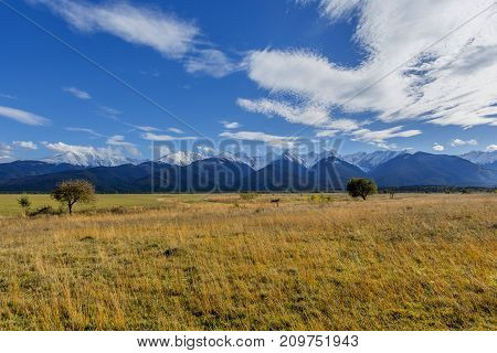 Early autumn snow in Carpathian Mountains huge cliffs are covered with snow, in the foreground are slopes with forest. View of Fagaras Mountains near Moldoveanu, the highest mountain peak in Romania.