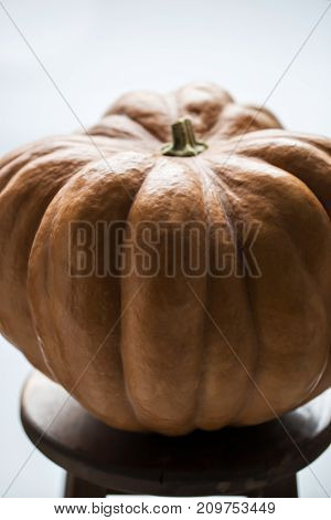 Pumpkins Isolated On White Background. With Shallow Depth Of Field