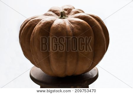 Pumpkins Isolated On White Background. With Shallow Depth Of Field