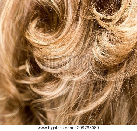 Curly Hair. Hairdressing. Wave .Natural Hair . Photo of an abstract texture