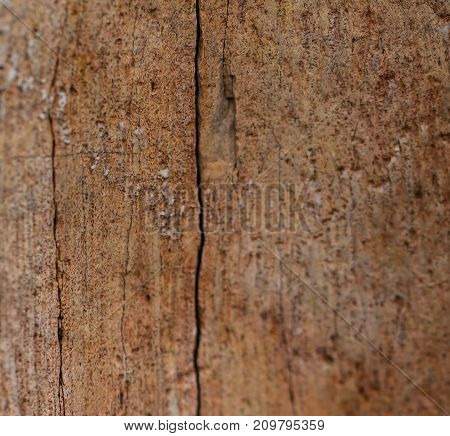 tan stone with vertical lines for backgrounds