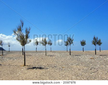 Spiaggia
