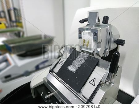 Rotary Microtome Section for diagnosis in pathology