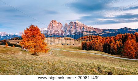 Scenic image of bright hills. Location Dolomiti alps, Compaccio, Seiser Alm or Alpe di Siusi, Bolzano province, South Tyrol, Italy, Europe, Great picture of wild area. Explore the beauty of earth.