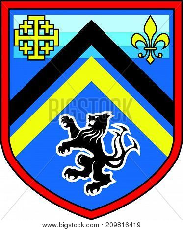 Coat of Arms dragon lion vector shield design
