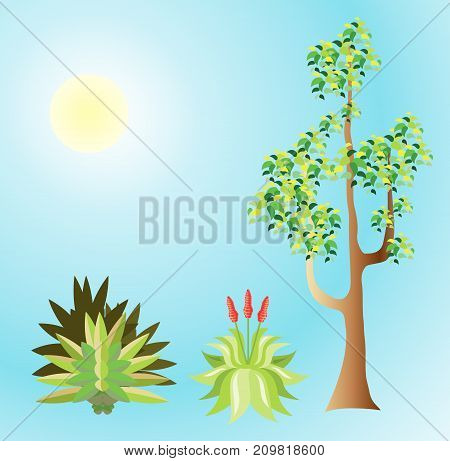 3 vector plants vegetation eps illustration clip-art