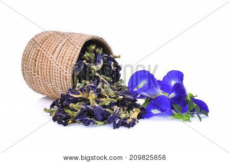 fresh and dried butterfly peablue peaclitoria ternatea or aparajita flower isolated on white background