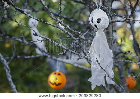 Halloween decorations on the tree near the house. halloween background. Ghosts and Jack O' Lanterns on the branches. copy space for your text
