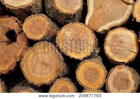 ready for use in construction or for space heating
