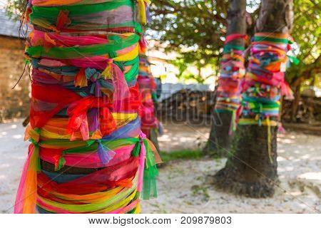 Colors Cloth Wrap Around The Tree Or Fabric Seven Colors Towel Wrapped Plam Tree Multicolored Cloth