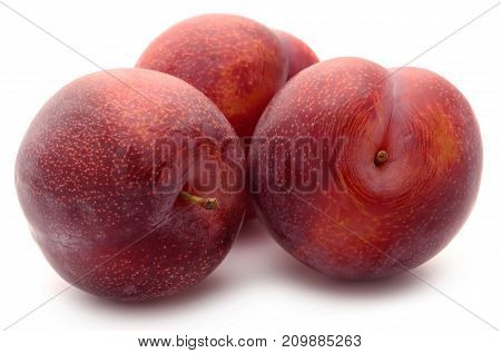 Blommer the finest Dansih plum isolated over white background