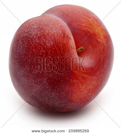 Blommer the finest Dansih plum isolated over white background