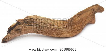 Close up of Bogwood over white background