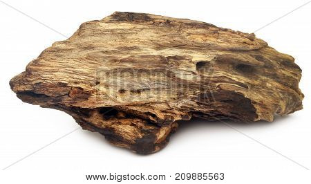 Close up of bogwood over white background
