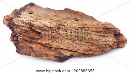 Close up of Bogwood over white background
