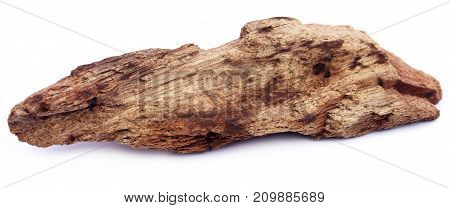 Closeup of Decorative bogwood isolated over white background