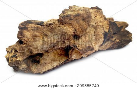 Close up of bogwood over white background