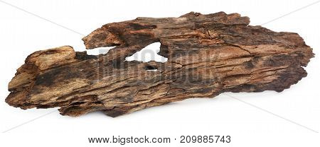 Close up of bogwood over white background