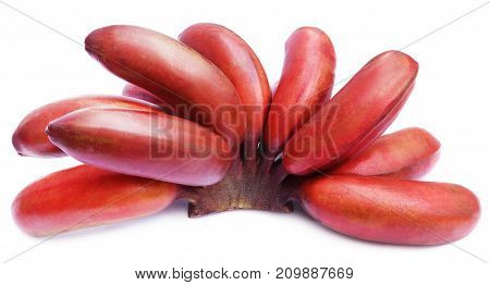 Closeup of Red banana isolated over white background