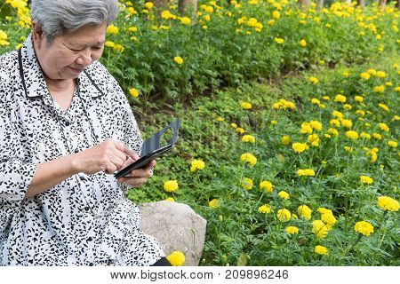 Elder Woman Holding Mobile Phone While Sitting On Bench In Garden. Elderly Female Smiling While Text