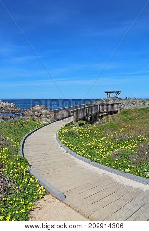 Walkway to a gazebo overloooking the rocky coast at Asilomar State Beach on the Monterey Peninsula in Pacific Grove California vertical