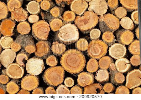 sawn logs and wood prepared for use in construction or heating
