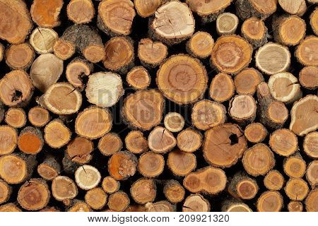 sawn logs and wood prepared for use in construction or heating