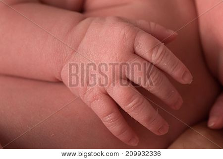 Sweet newborn baby hand. Soft image of beautiful family.