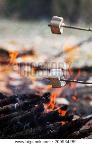 marshmallow are fried at the stake a