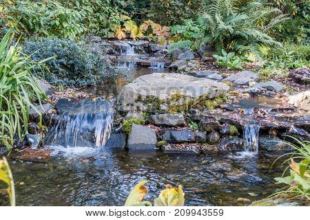A view of a rocky stream in Seatac Washington.