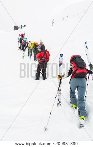 Group of cross-country skiers ascending a steep slope. Line of people in winter fairytale.