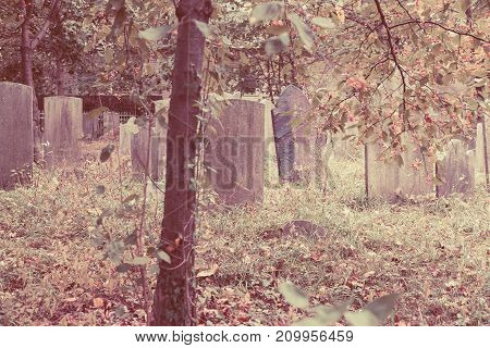 Old Tombstones In Cemetery