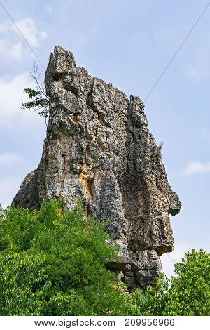 Head shape in Naigu Shilin limestone pinnacles Stone forest, Yunnan Province - China. The Stone Forest or Shilin is a UNESCO World Heritage Sites near Kunming