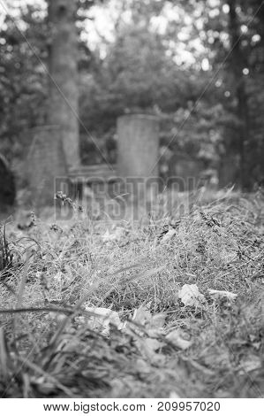 Old Tombstones In Cemetery