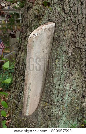 Metuchen Colonial Cemetery