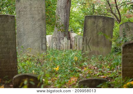 Metuchen Colonial Cemetery