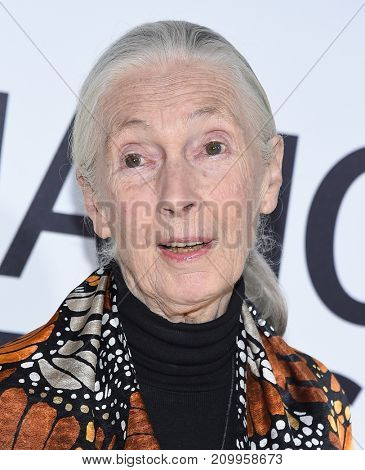 LOS ANGELES - OCT 09:  Jane Goodall arrives for the 'Jane' Los Angeles Premiere on October  9, 2017 in Hollywood, CA                
