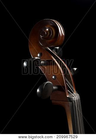 Cello Scroll set against a black Backdrop