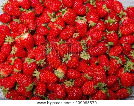 A top view on a fresh ripe red strawberries. Healthy organic summer fruits. Fruits background. Close-up of strawberry. Food concept.