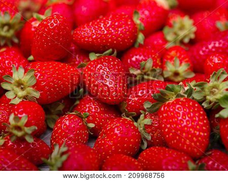 A top view on a fresh ripe red strawberries. Healthy organic summer fruits. Fruits background. Close-up of strawberry. Food concept.