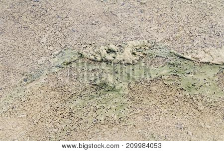 abstract natural background showing organic slime in a water puddle